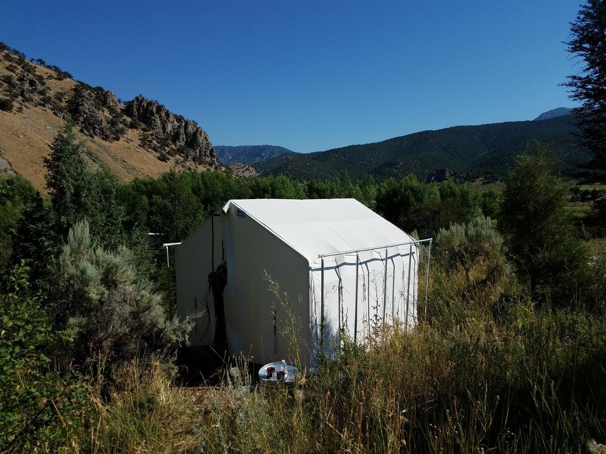 Bristol Cabins 熔岩温泉村 外观 照片